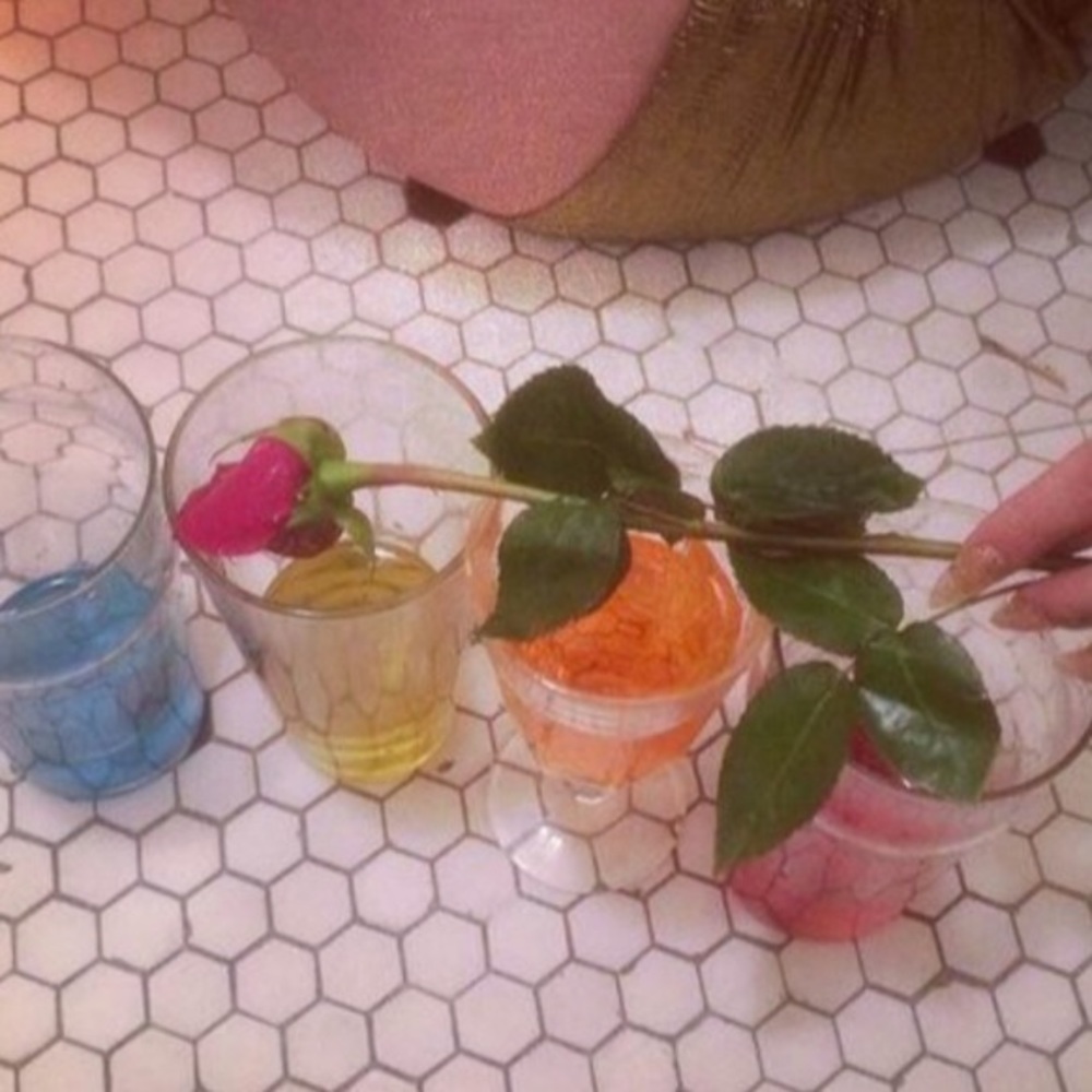 Meet your Posher, Sara